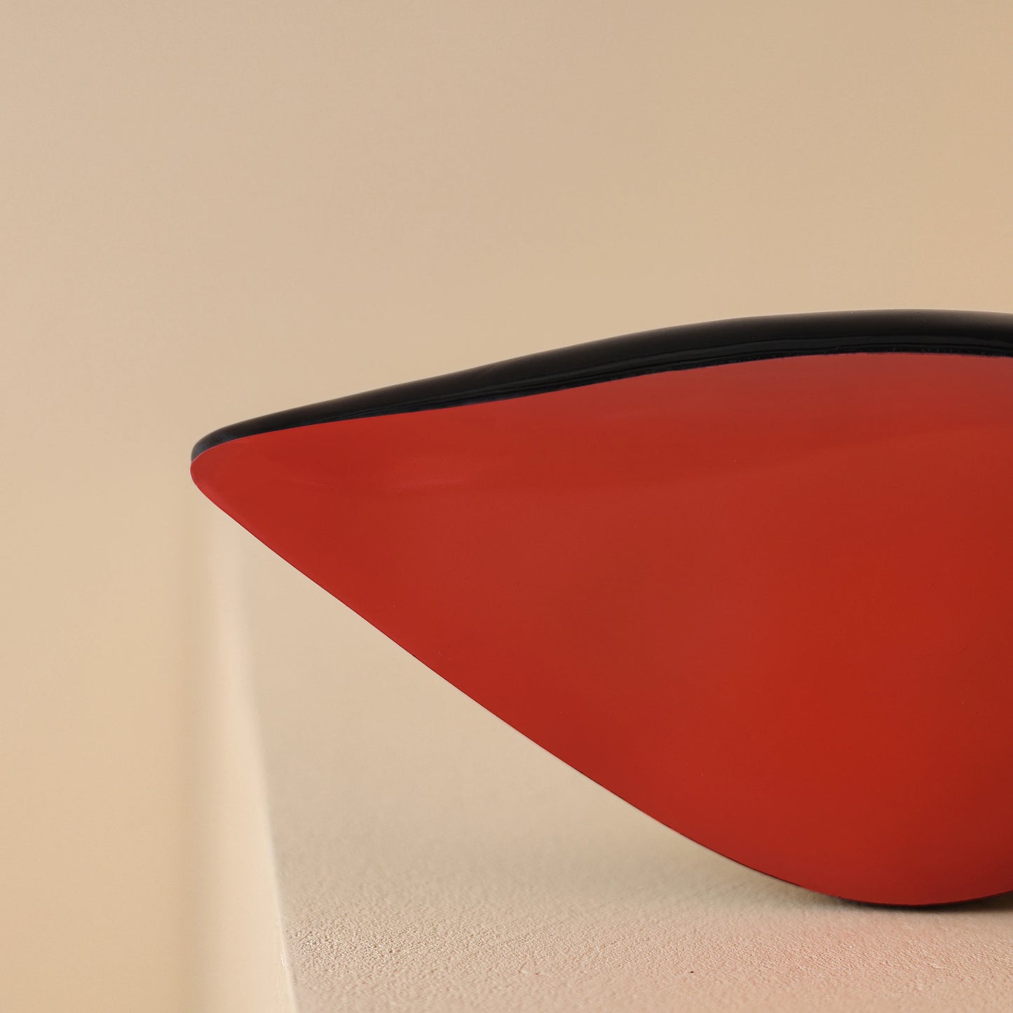 Professional High Heels Dance Shoes – Elegant Stiletto Pumps for Women |Heels Dance Practice