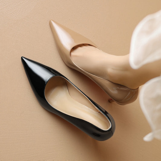 Professional High Heels Dance Shoes – Elegant Stiletto Pumps for Women |Heels Dance Practice